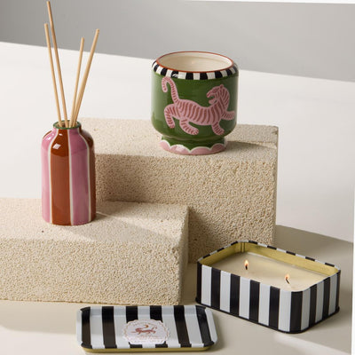 Mikado A Dopo Paddywax · Black Cedar & Fig 118 ml