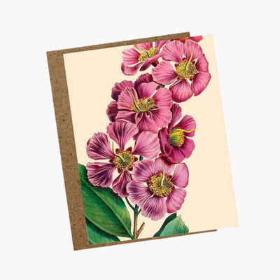 Tarjeta de felicitación floral con diseño de flores rosadas y sobre kraft, tamaño A6.