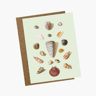 Tarjeta de felicitación con diseño de conchas coloridas y minimalista en papel ecológico, sobre cartón kraft.