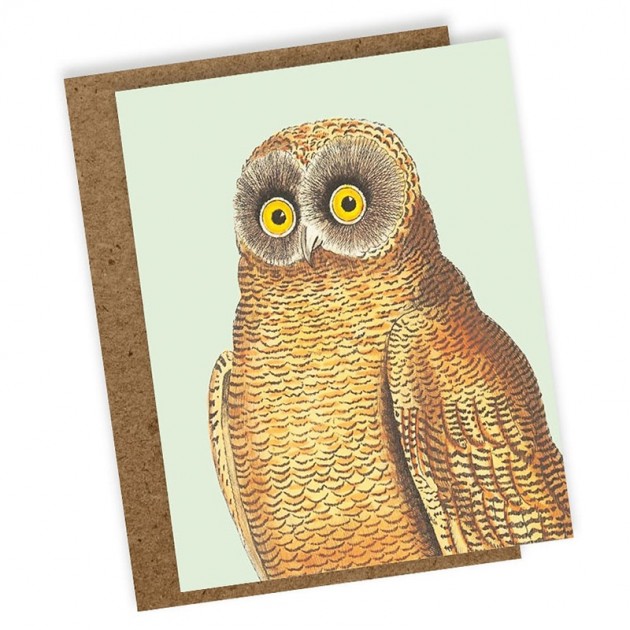 Mellow Owl Card
