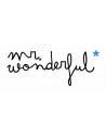 Mr.Wonderful